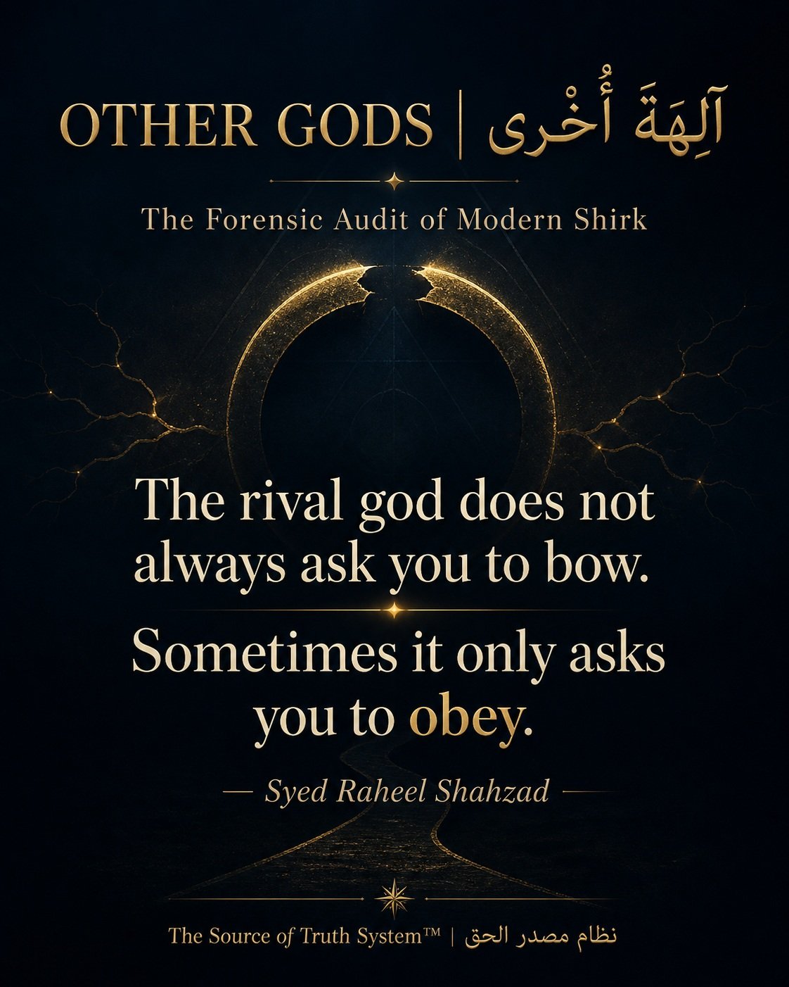 OTHER GODS book by Syed Raheel Shahzad